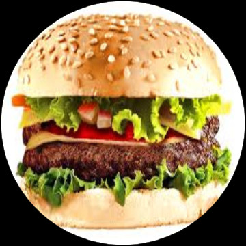 hamburger1.jpg